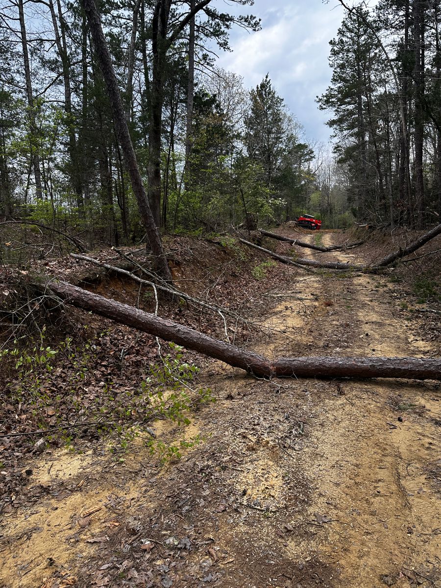 Land Clearing for Cone Grading and Land Clearing in Summerfield, NC