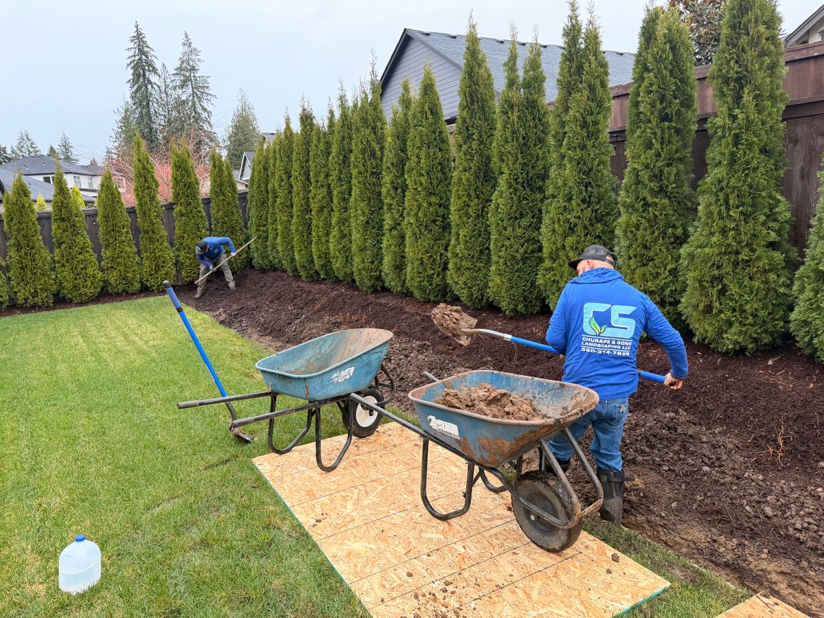 Shrub Trimming for Churape And Son's Landscaping in Vancouver, WA