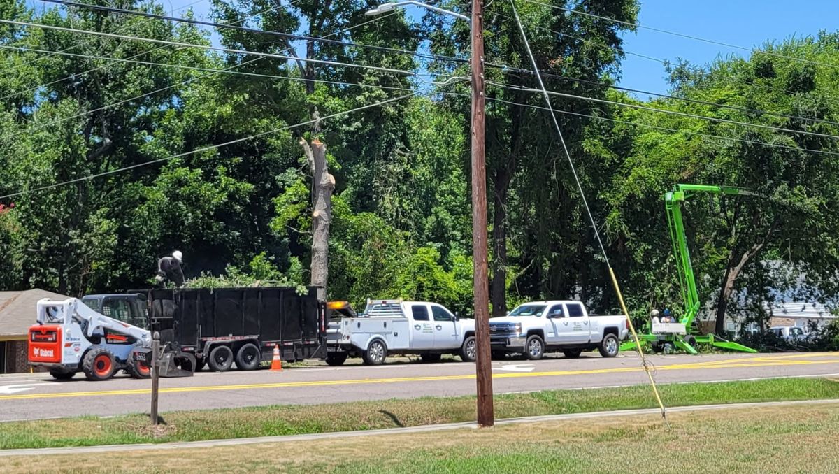 Tree Removal for Trees Unlimited of the CSRA in Augusta, GA