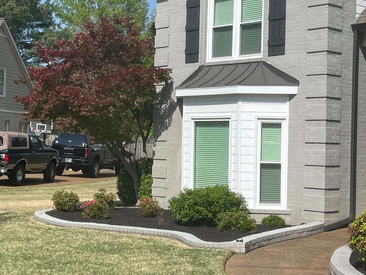 Tree Trimming for Spectacular LawnScapes in Olive Branch, MS