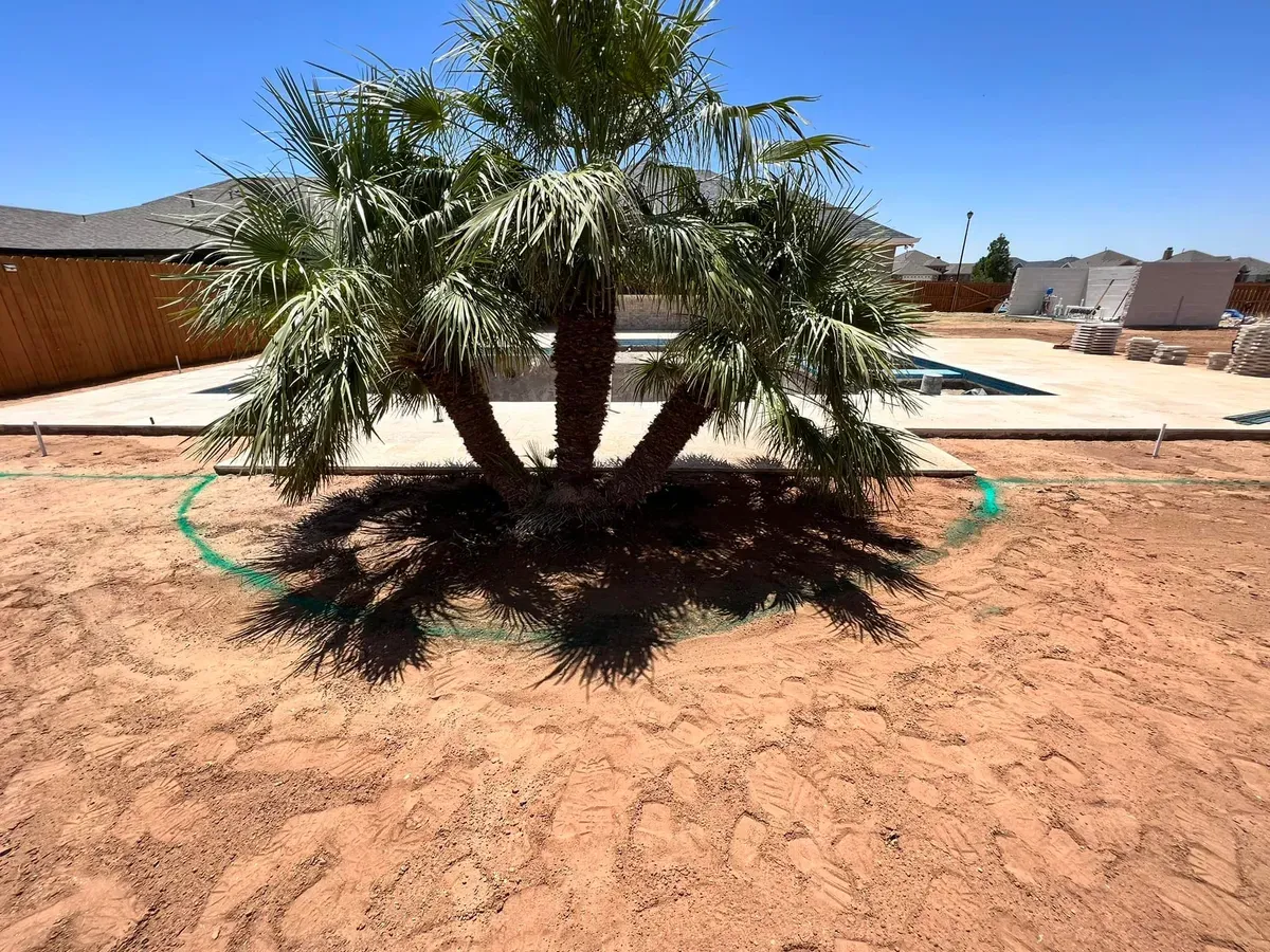 Plant & Tree Installation for AMV Irrigation Specialist LLC in Midland County, TX