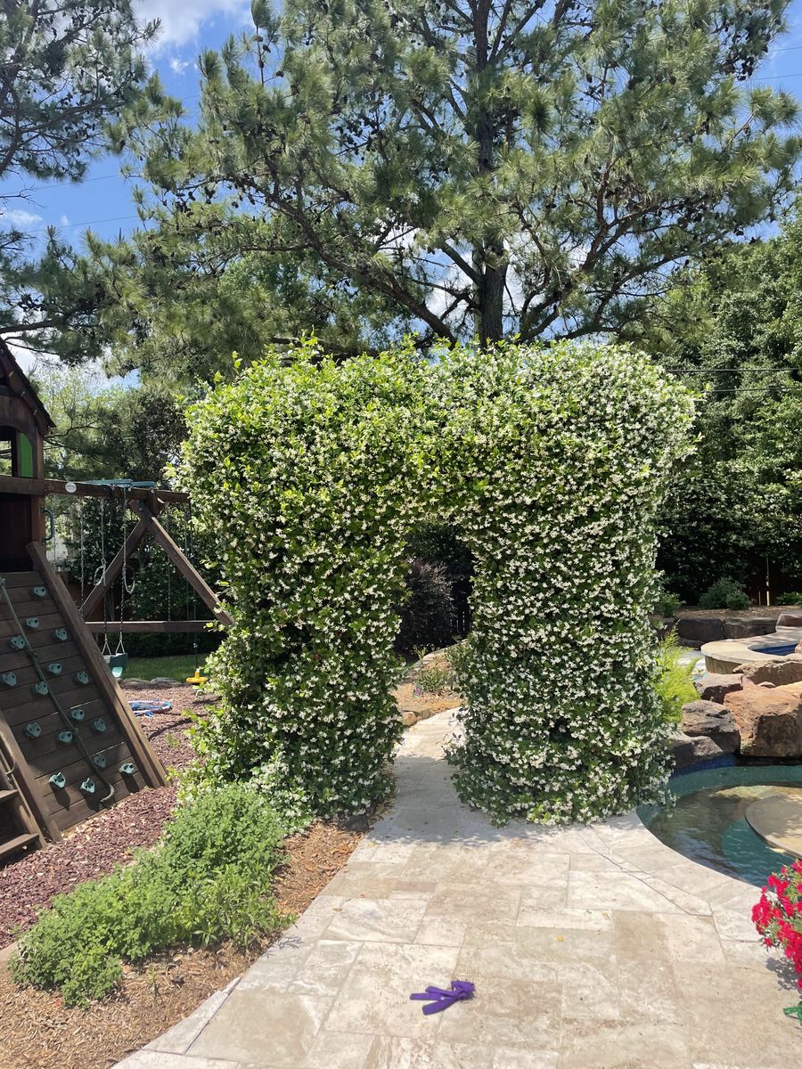 Hardscaping for Atlas Land Design in Creekside Park, TX