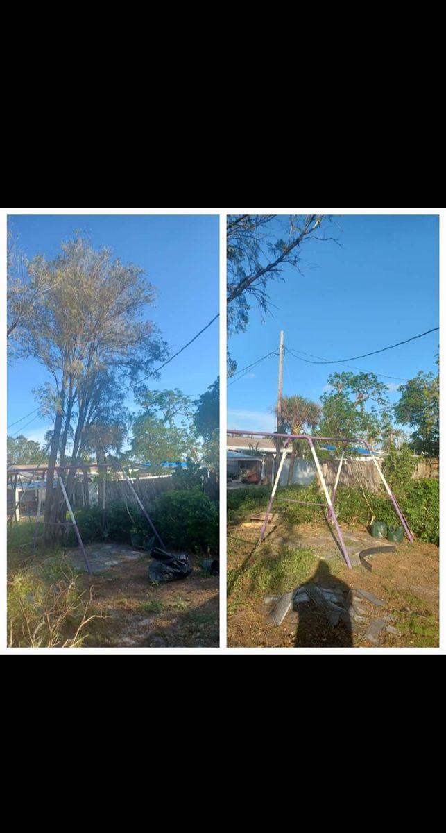 Tree Removal for Advanced Landscaping Solutions LLC in Fort Myers, FL