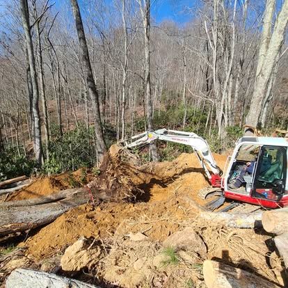 Tree Removal for Lopez Landscaping and Tree Service  in Waynesville, NC