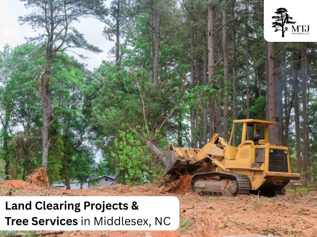 Tree Trimming for MTJ Tree Removal LLC in Zebulon, NC