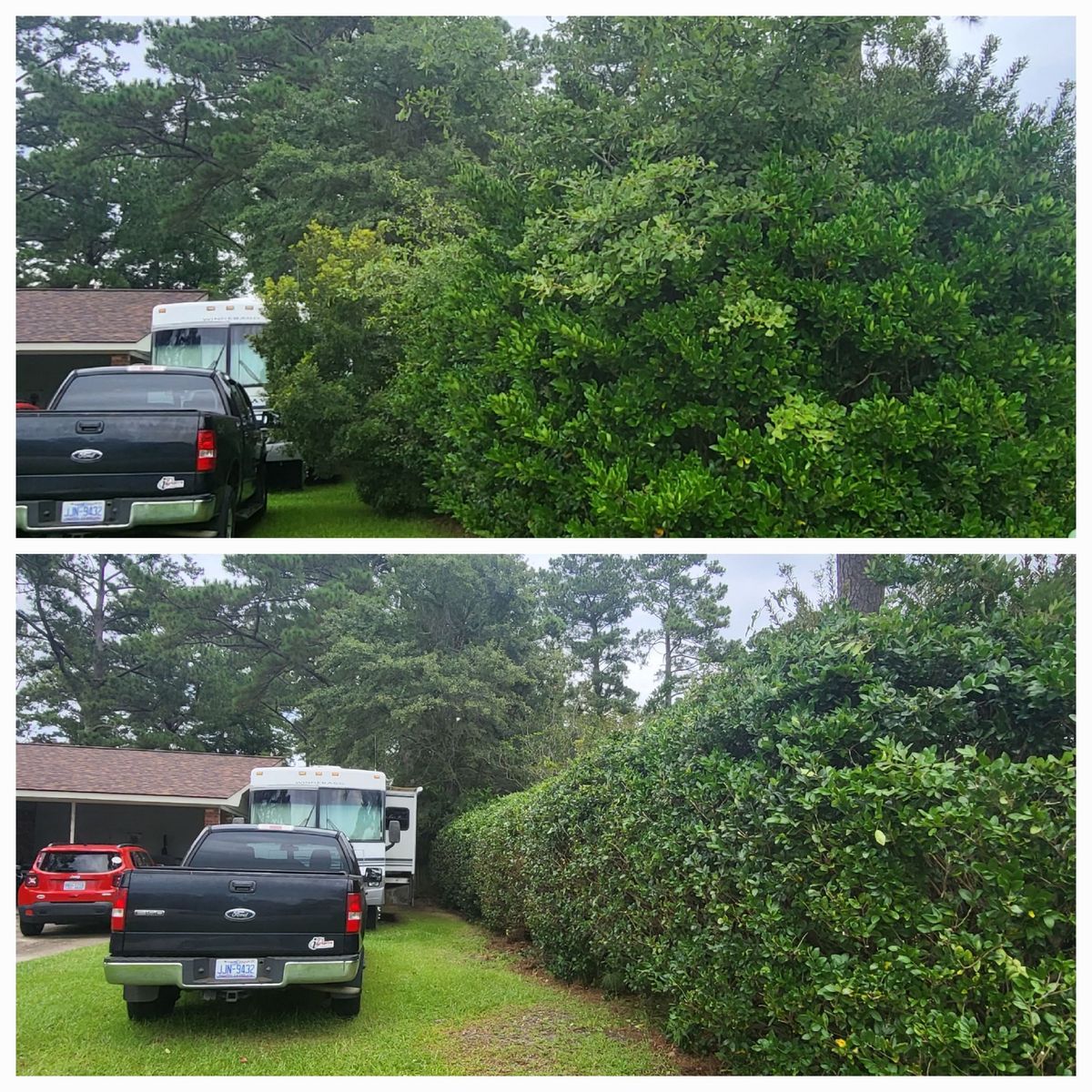 Hedge Work for Heroy's Lawn Services in Jacksonville, North Carolina