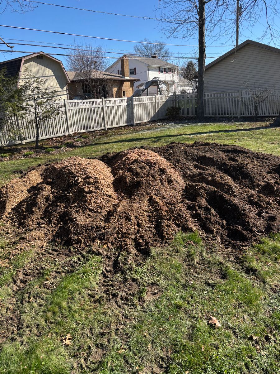 Stump Removal for Dean's Stump Removal in Youngstown, OH