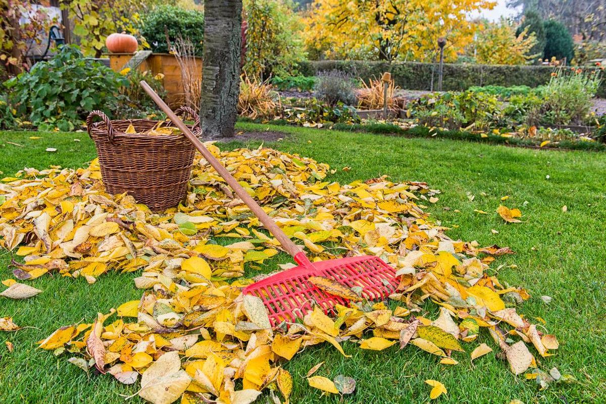 Fall and Spring Clean Up for Randall Gary’s Tree Service in Big Sandy, TX