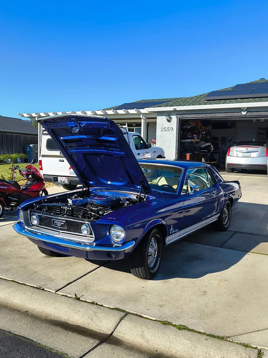 Refresh Package $225+ for Yuba City Mobile Car Detailing in Yuba City, CA