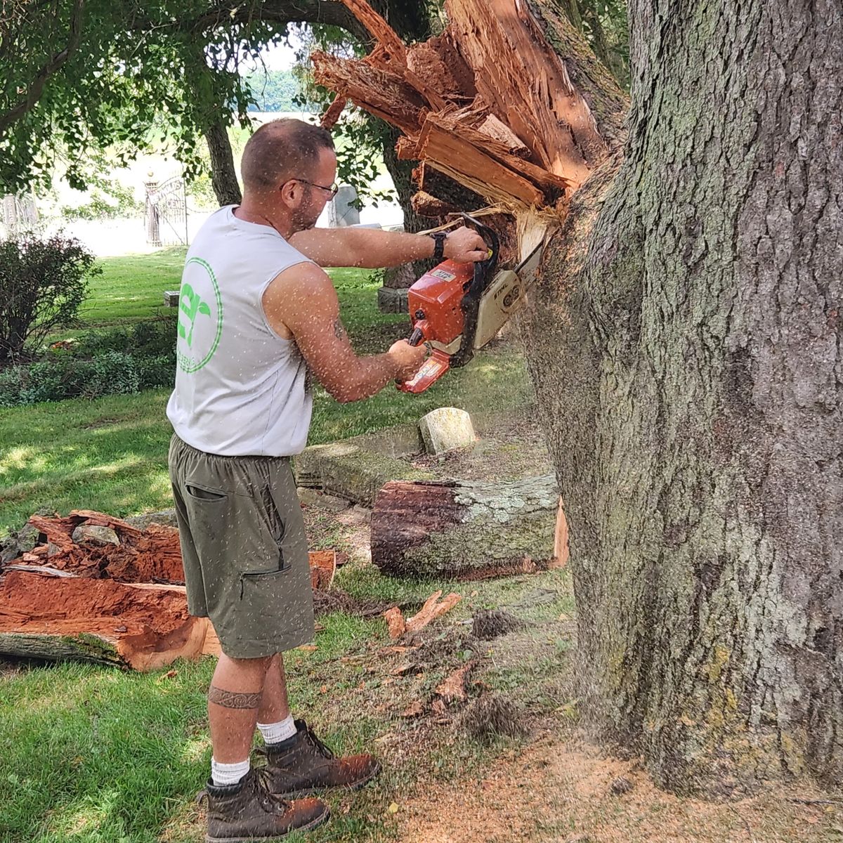 Property Maintenance  for ER Lawn Service in Manchester, MI