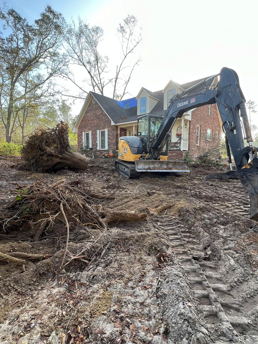 Stump Removal for Thompson Forestry Mulching & Stump Grinding in Douglas, GA