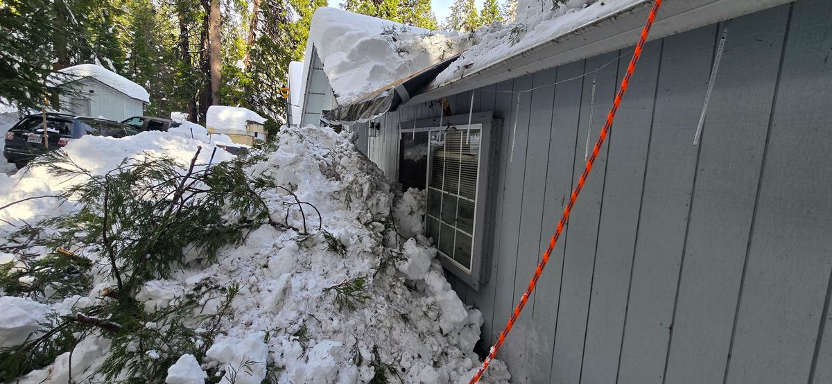 Storm Damage for George Staddan's Professional Tree Care in Placerville, CA