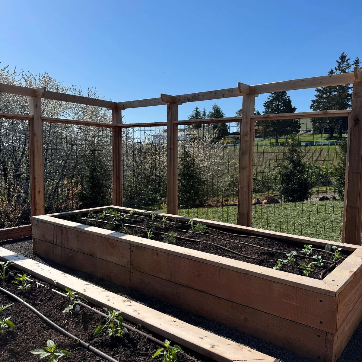 Horticulture Consultation for Courtney Lewis Landscape Design in Portland, OR