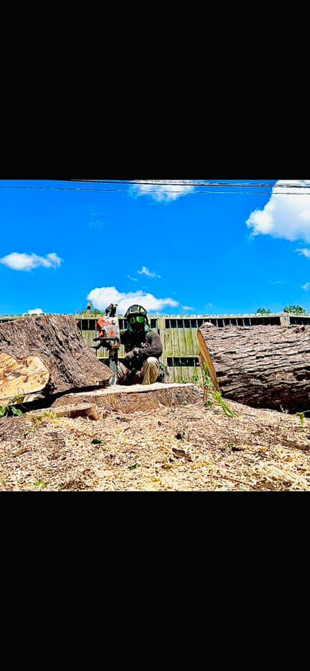 Stump Removal for Johnnys Pro Cutters in Corpus Christi, TX