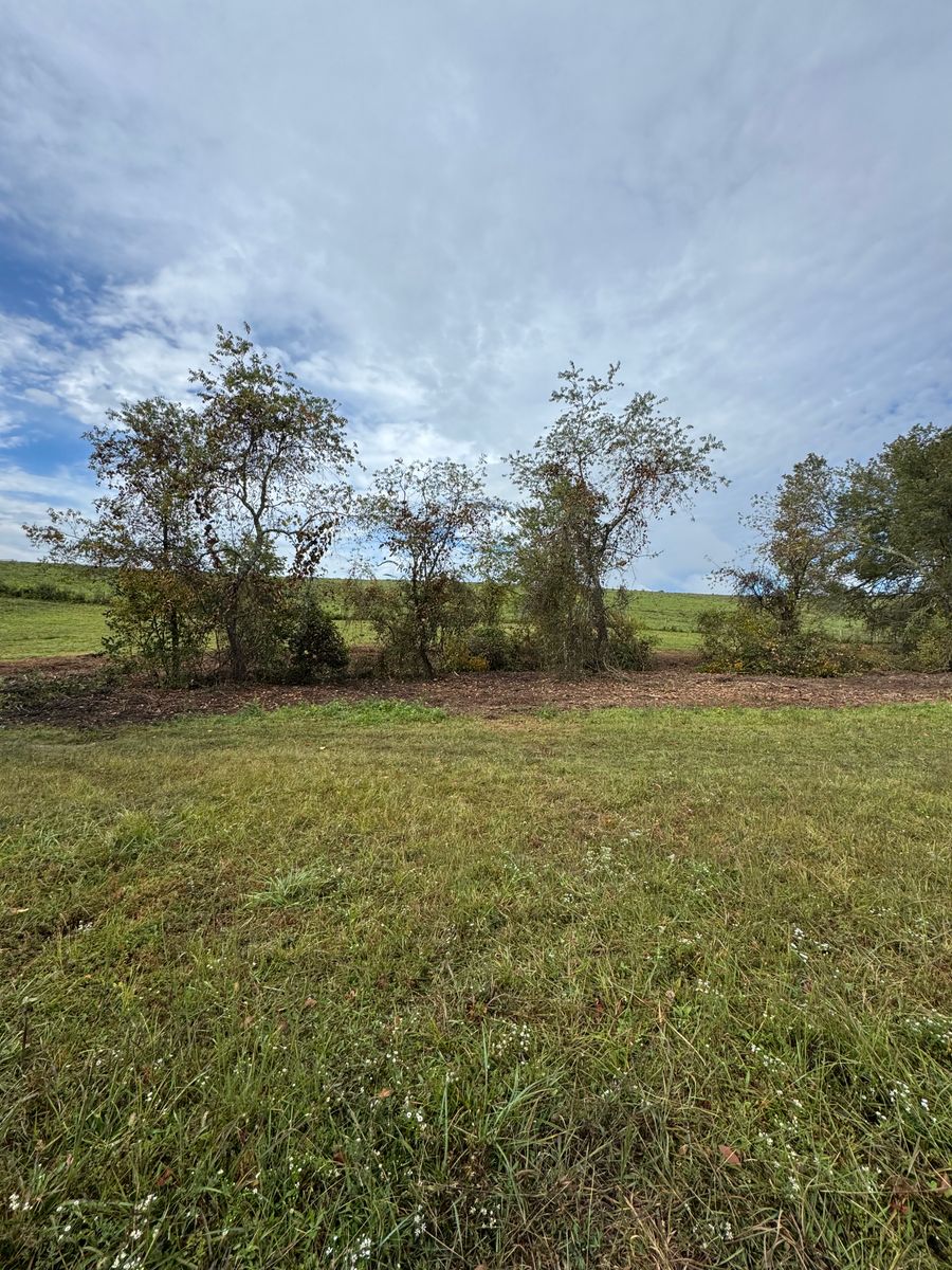 Steep Slope Mowing for Mountain Goat Land Management in Galax, VA