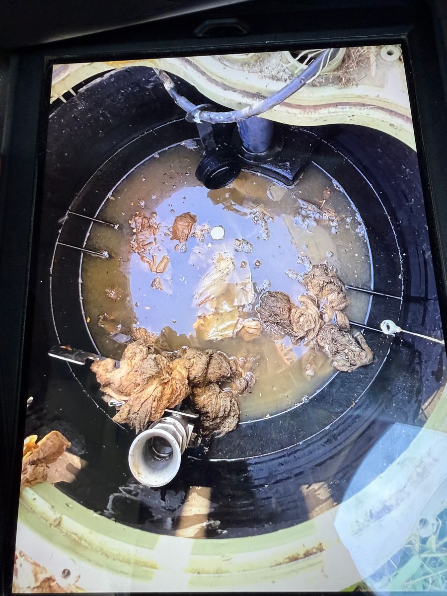 Sewage Pump for Admiral Septic Solutions, LLC in Farragut, TN