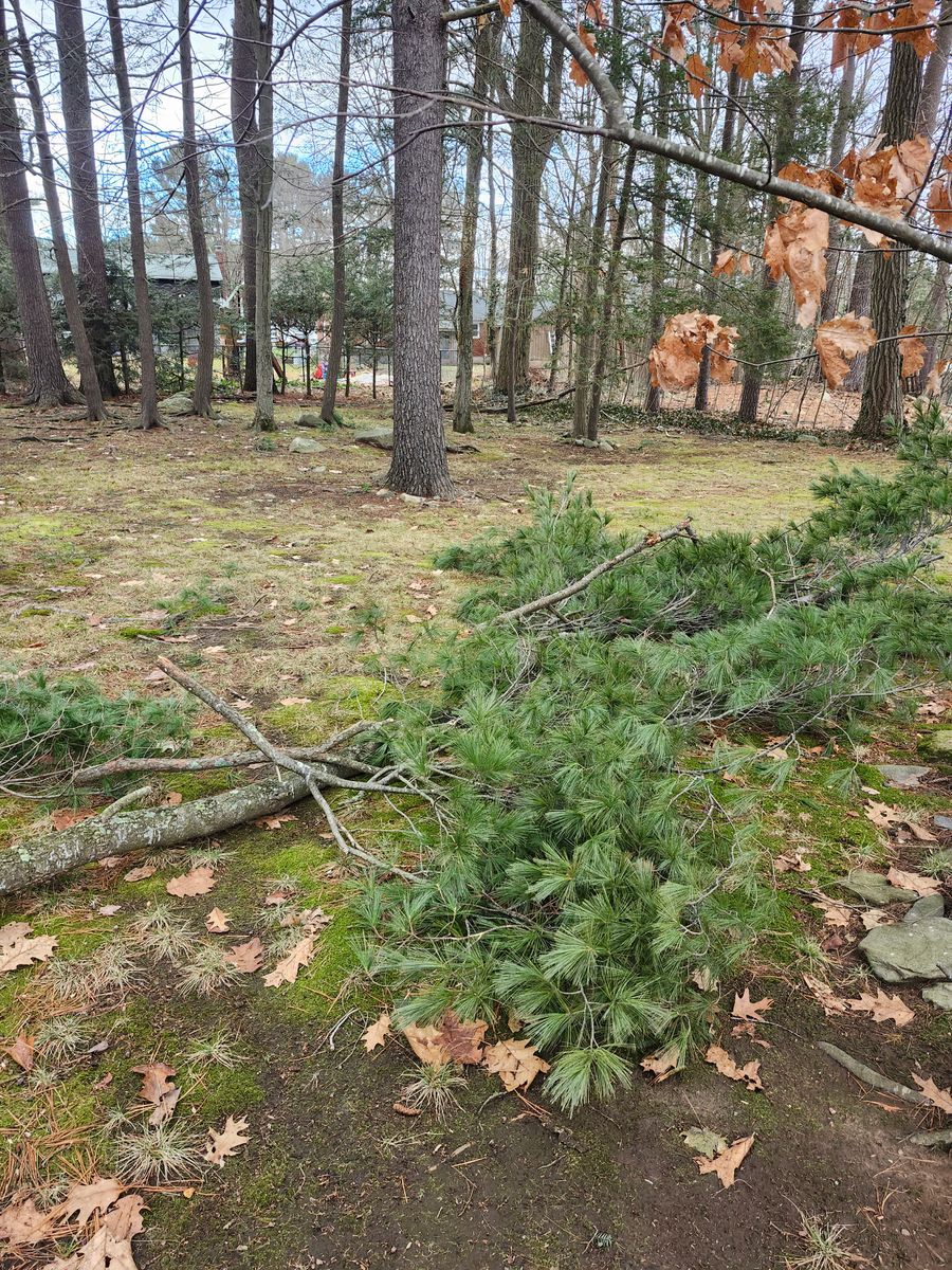 Landscape Installation for Landscape Innovations LLC in Torrington, CT