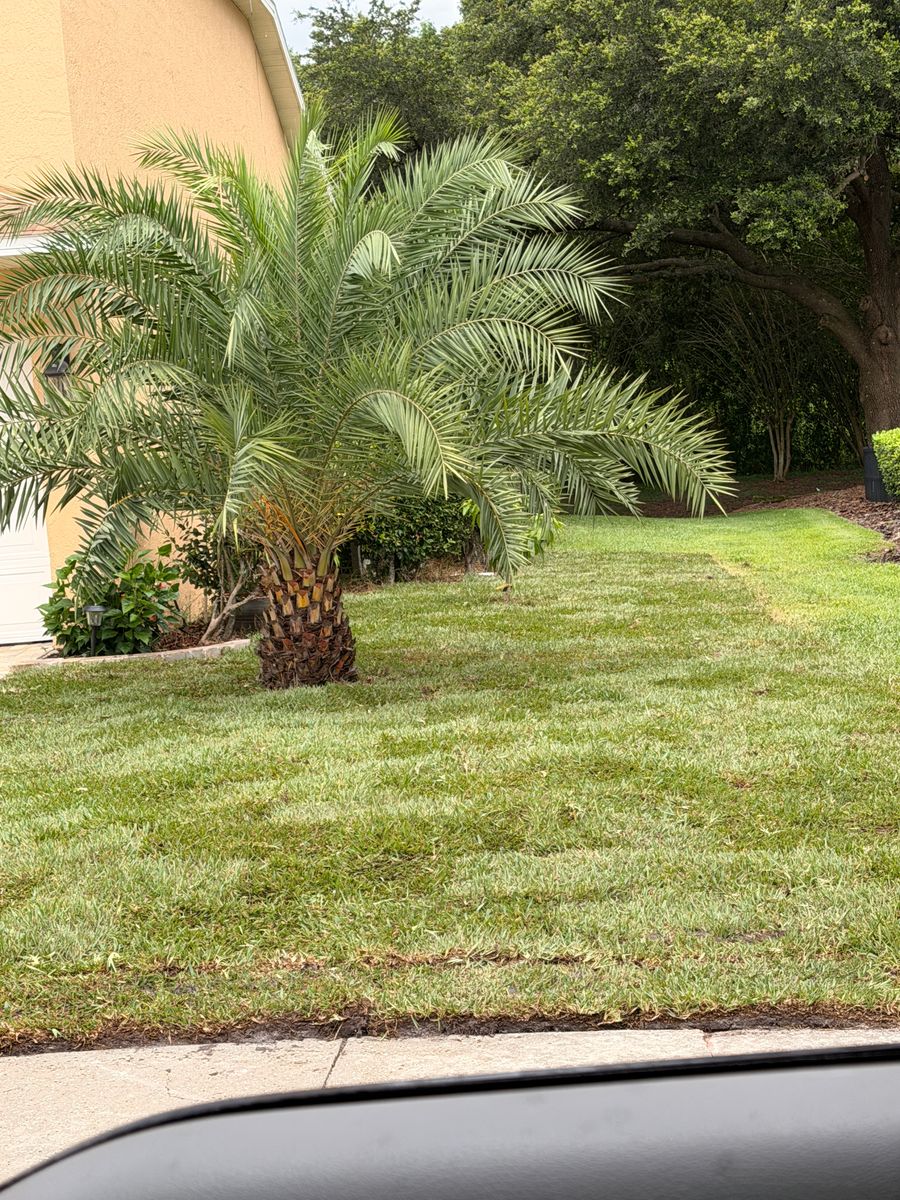 Sod Install for C4 Ground Control in Orlando, FL