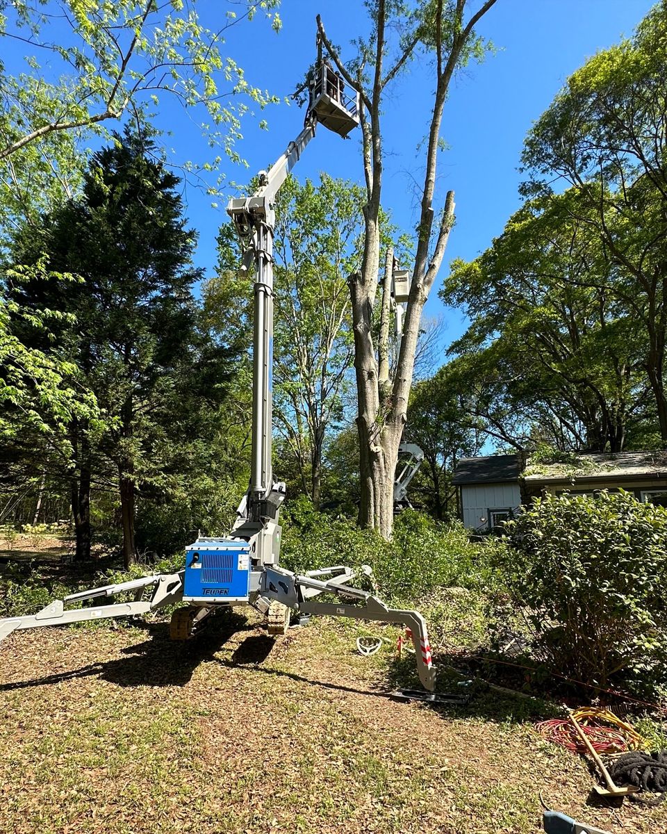 Land Clearing for Lakeside Tree Experts LLC in Hartwell, GA