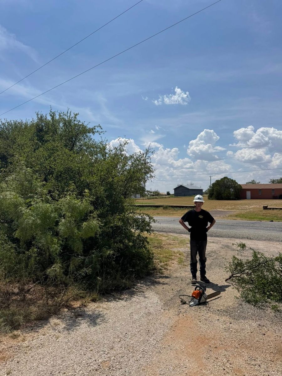 Other Lawn Services for Lion In The Tree Trimming Service in Big Spring, TX