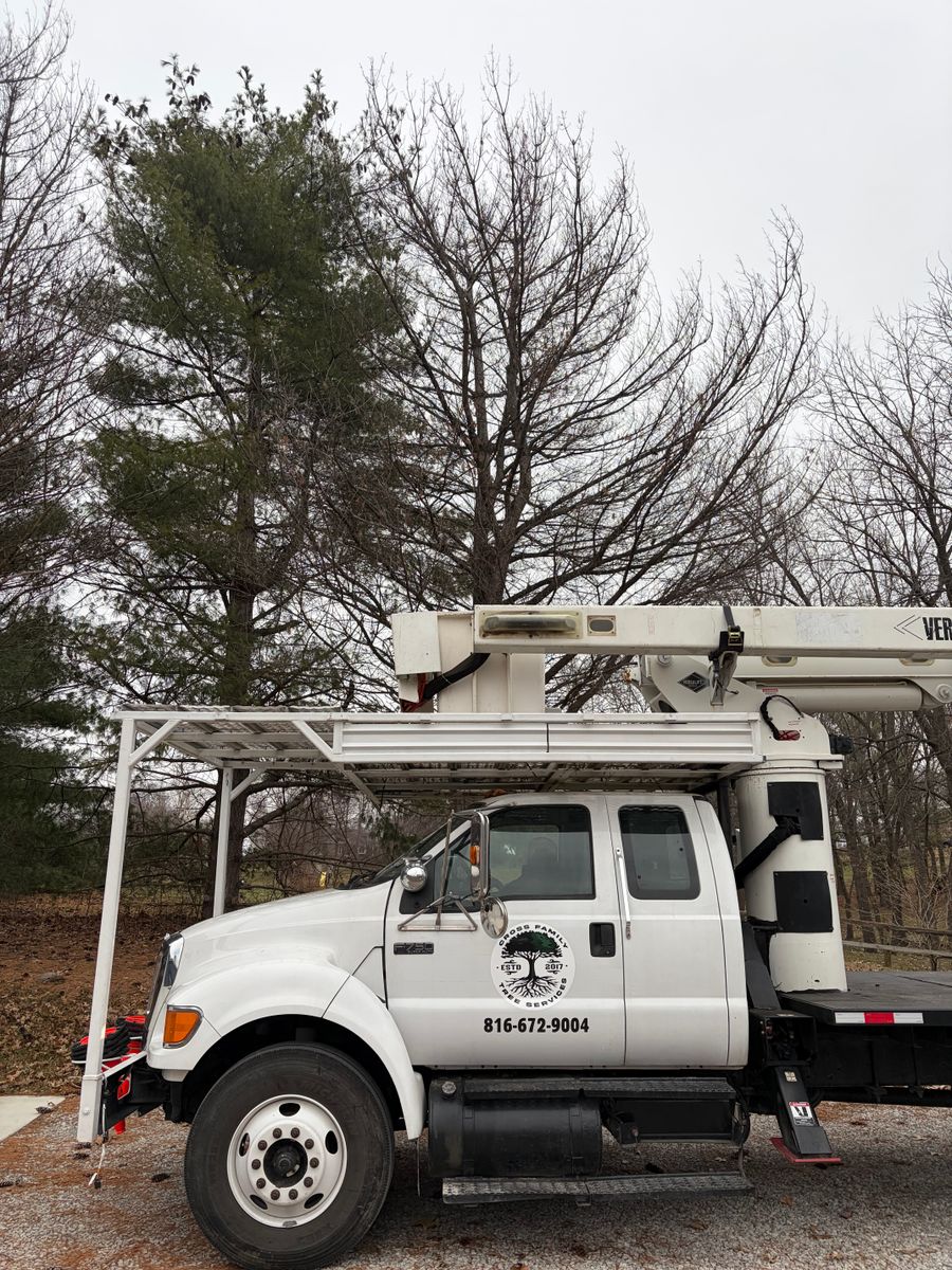 Tree Trimming for Cross Family Tree Service in Kearney, MO