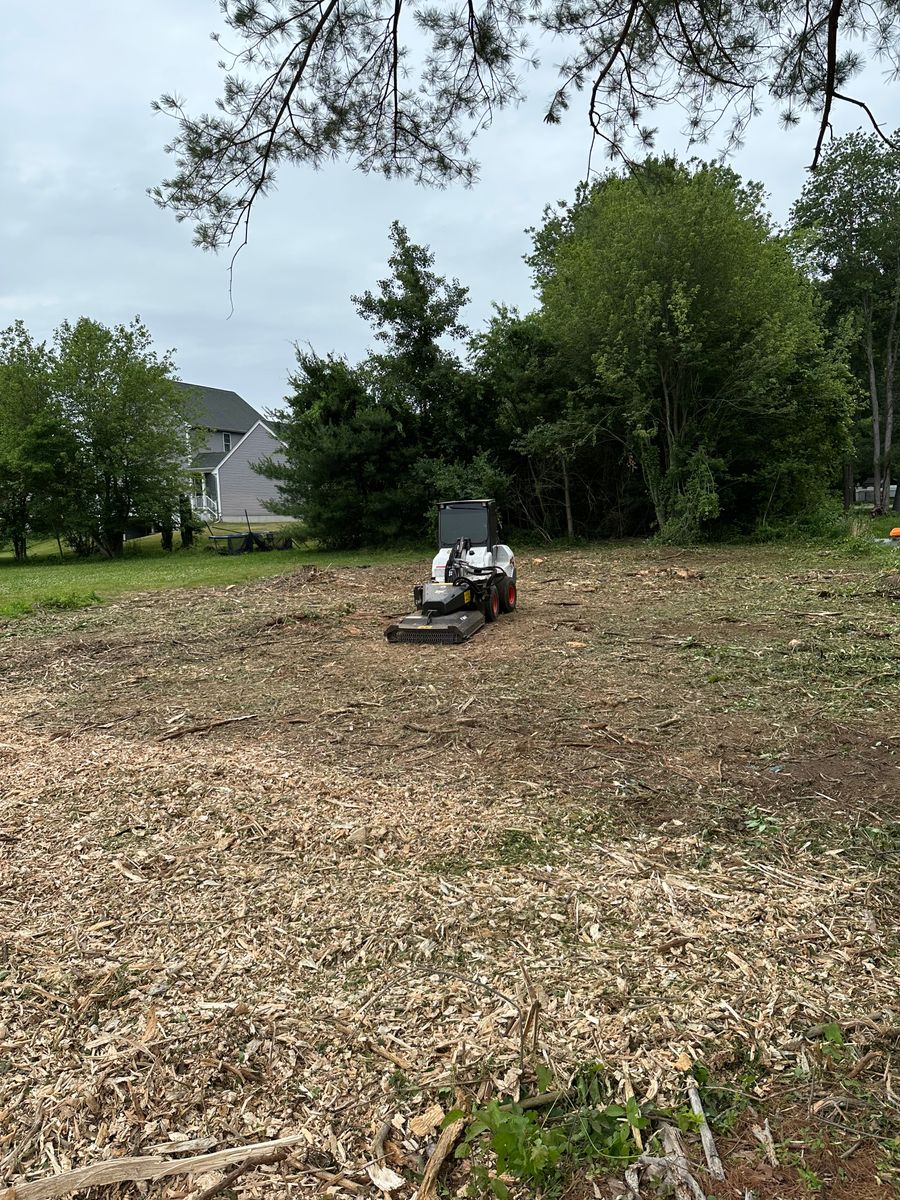 Stump Removal for Powell Tree Service Inc. in Cape Cod, MA