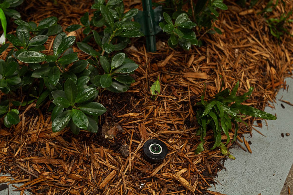 Irrigation for Arazoza Brothers Corporation in Miami, FL