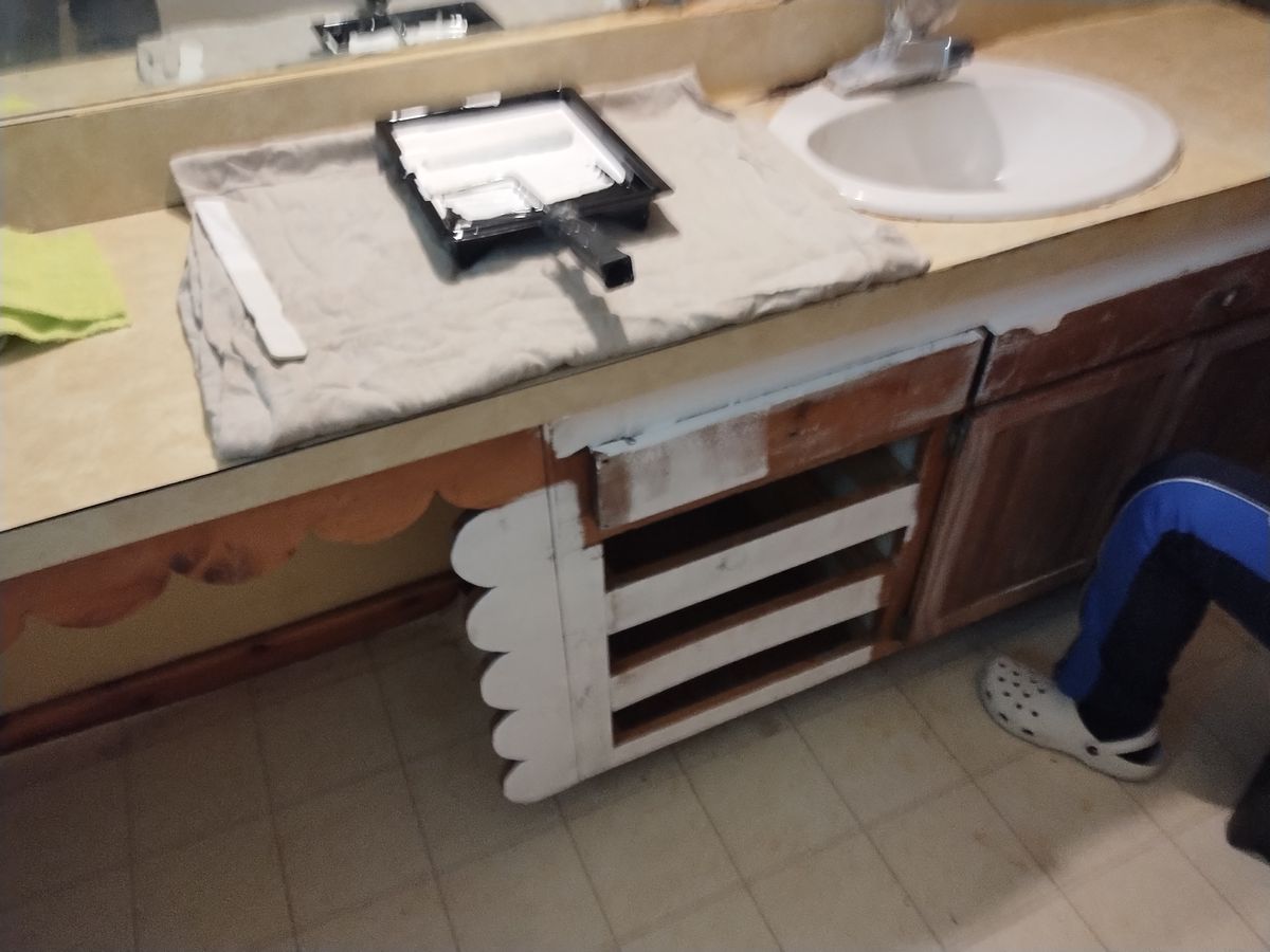 Home Repair Services for Loving 217 Homes inc in Chatham, IL