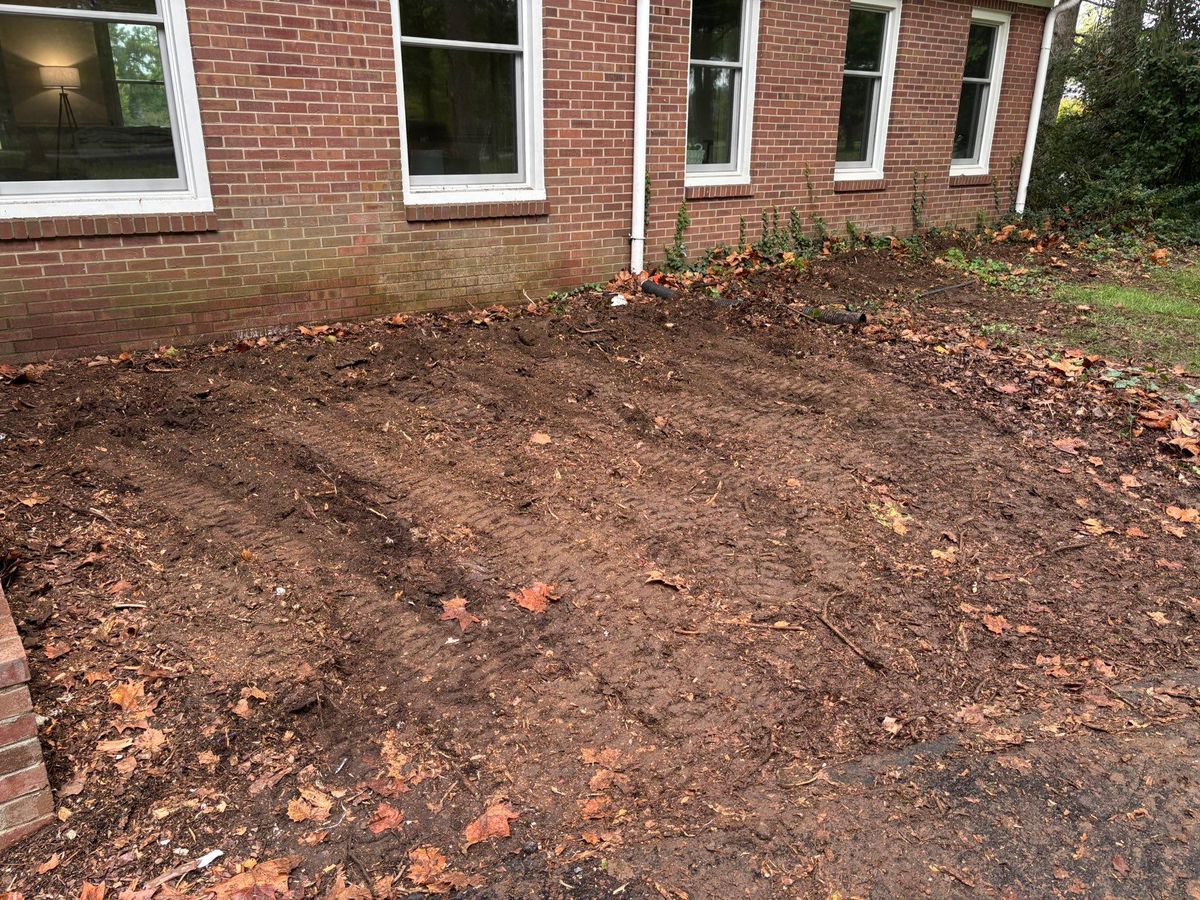 Stump Removal for Conrad's Stump Removal in Columbus, IN