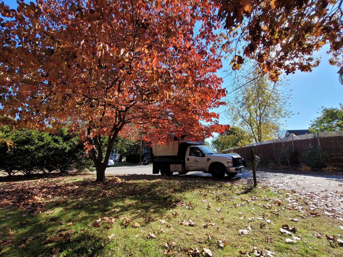 Clean Up for Reyky Landscaping & Masonry LLC in Providence,  RI