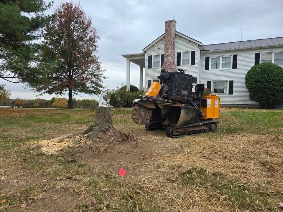 Stump Removal for W D Giampa Lawns and Landscape Inc. in Manassas, VA