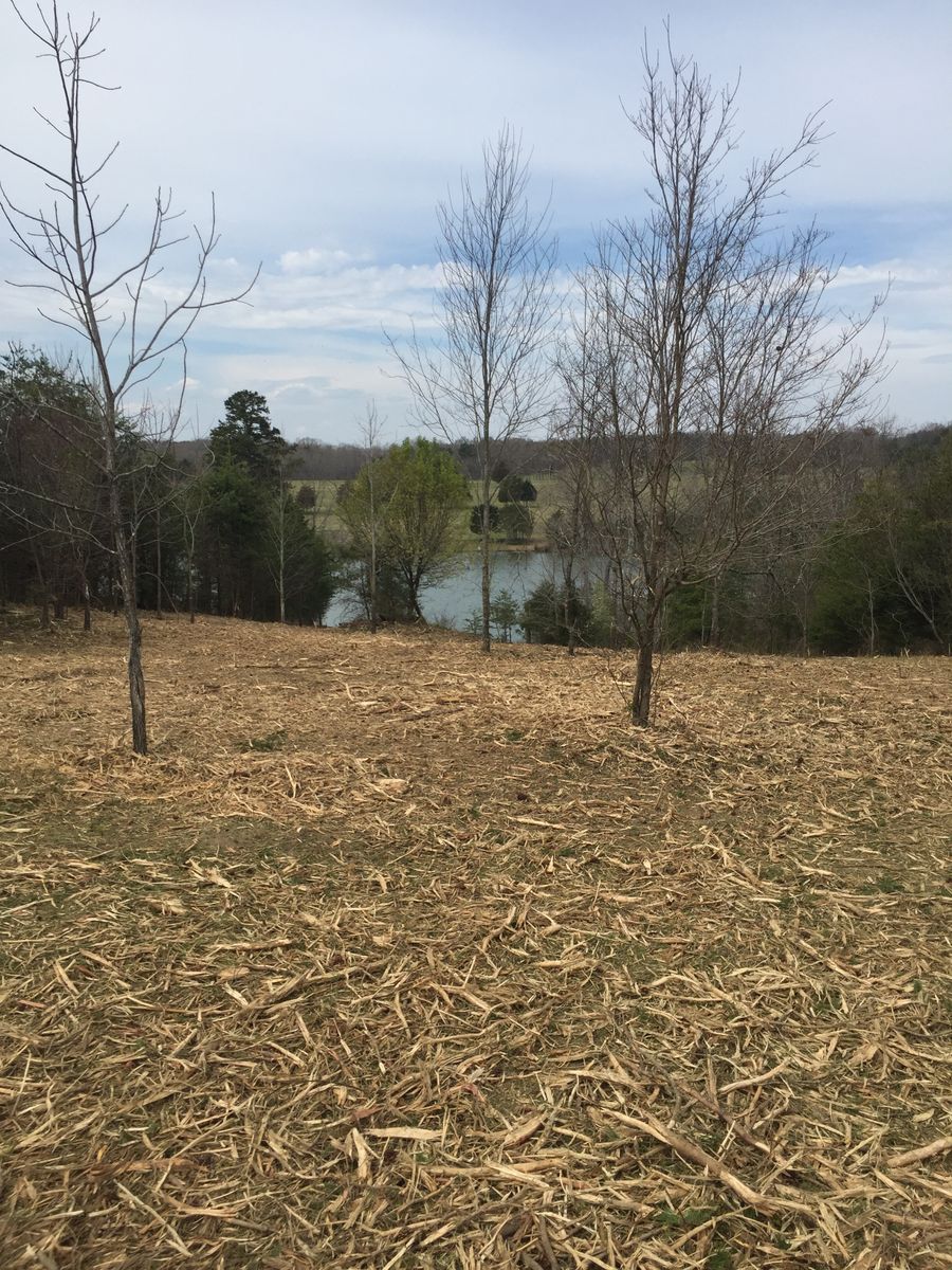 Brush hogging/mulching for Lanier Excavating LLC in Bedford County, VA