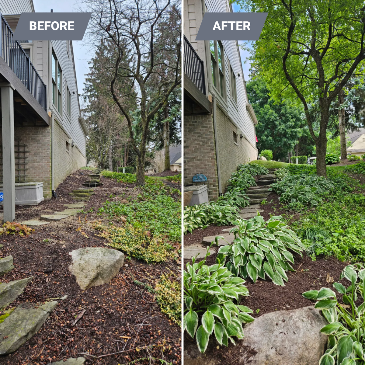 Tree & Shrub Care for Howell Hardscape Inc in Brighton, MI