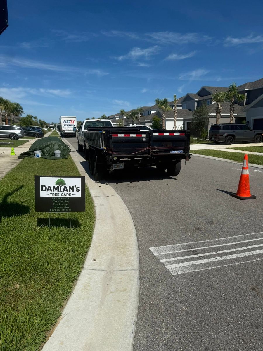 Stump Removal for Damian’s Tree Care in Sarasota, FL