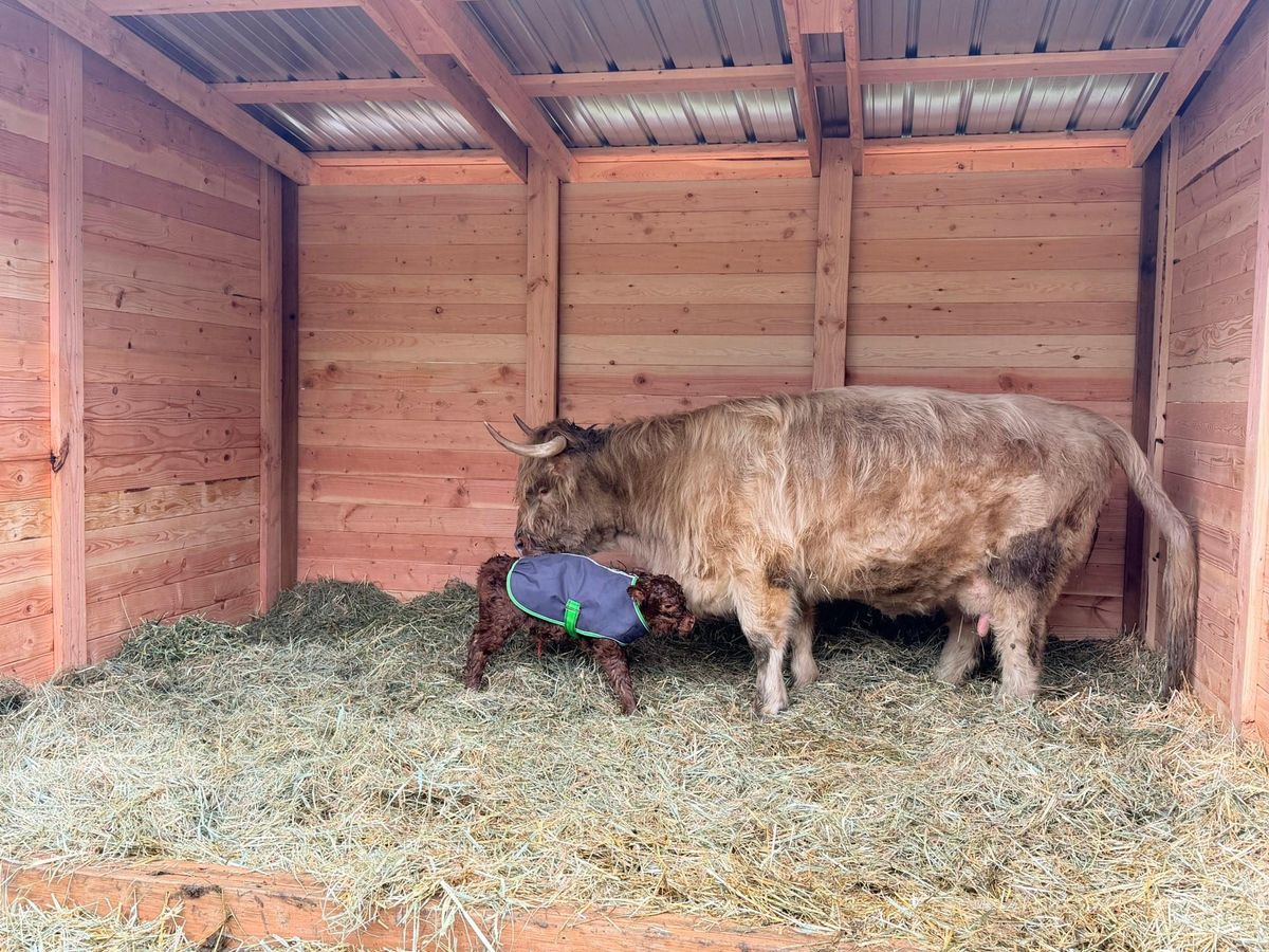 Other Builds for Oats Equestrian Fencing LLC in Arlington, WA