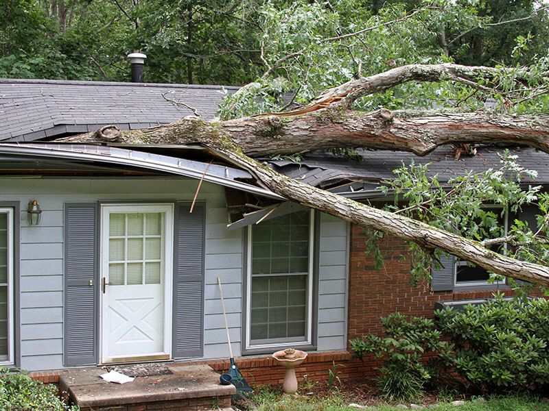 Storm Damage for Platinum Roofing and Exteriors  in Ocala, FL