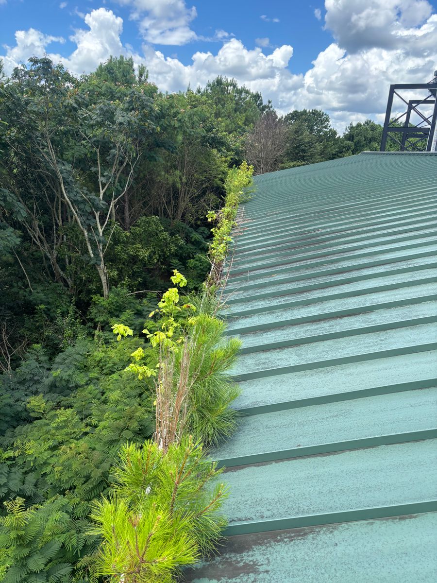 Commercial Gutter Cleaning for American Pro in Rockmart, GA