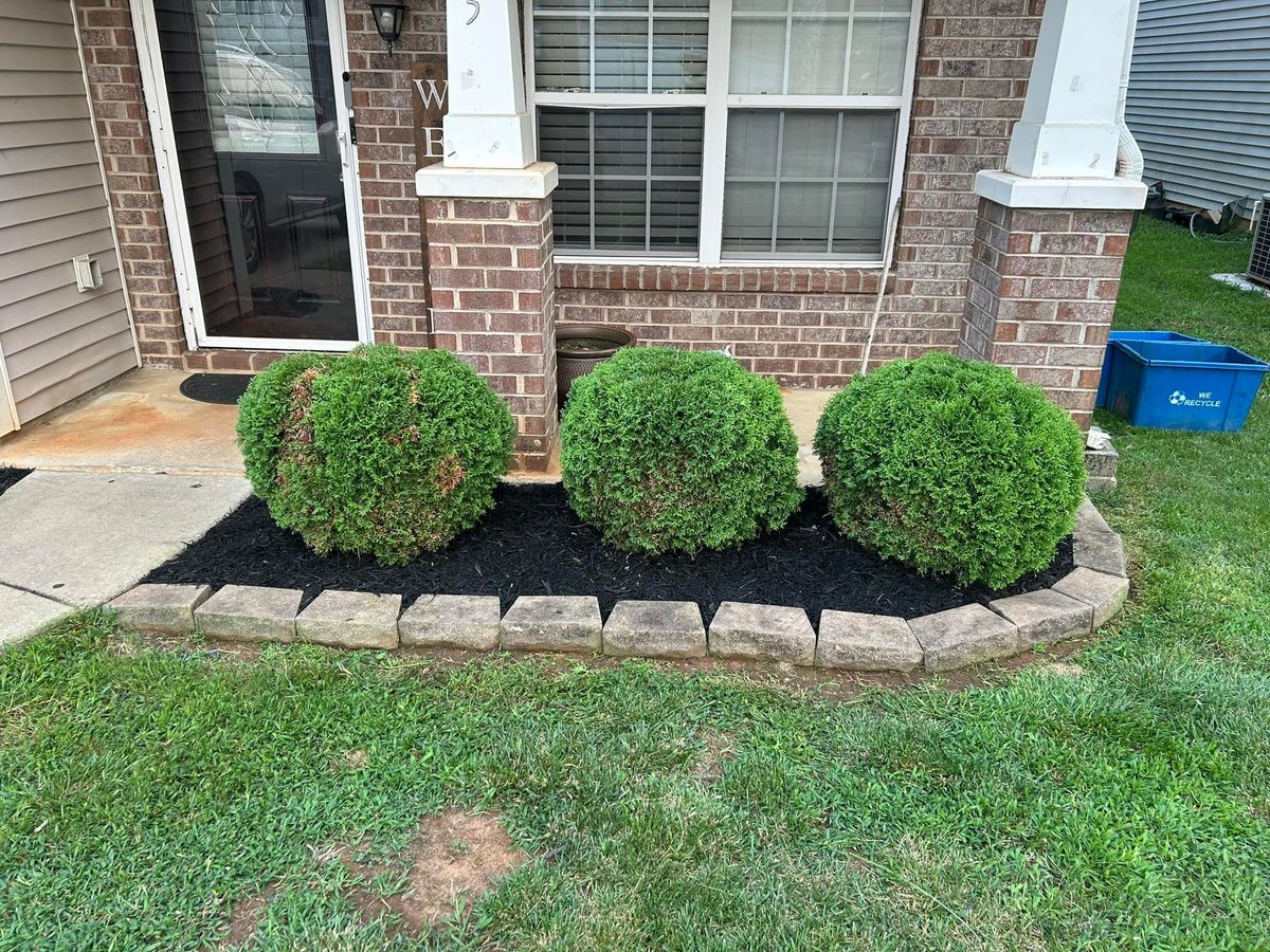 Shrub Trimming for Durham Right Lawn Services in Rock Hill, SC