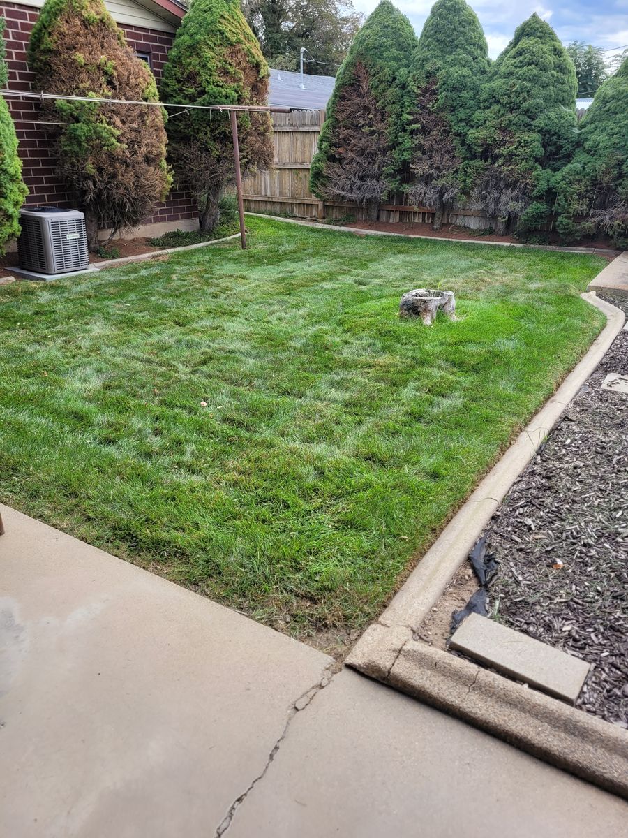 Lawn Aeration for Silver Service Pros in Riverton, UT