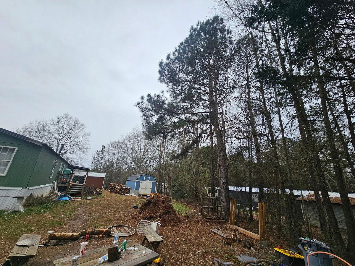 Tree Removal for O'Connor Clearing and Hauling LLC in Anderson County, SC