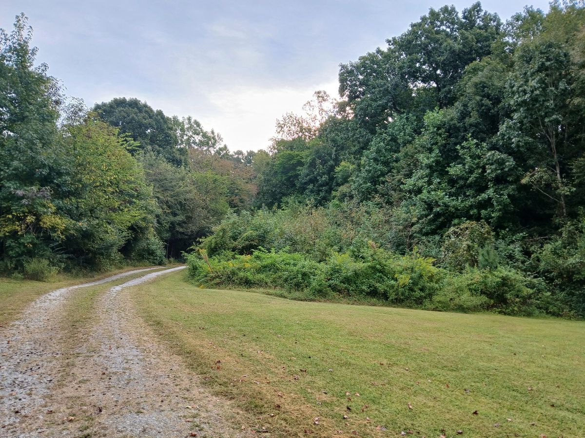 Site Preparation for Whiskey Ridge Mulching & Land Services in South Boston, VA