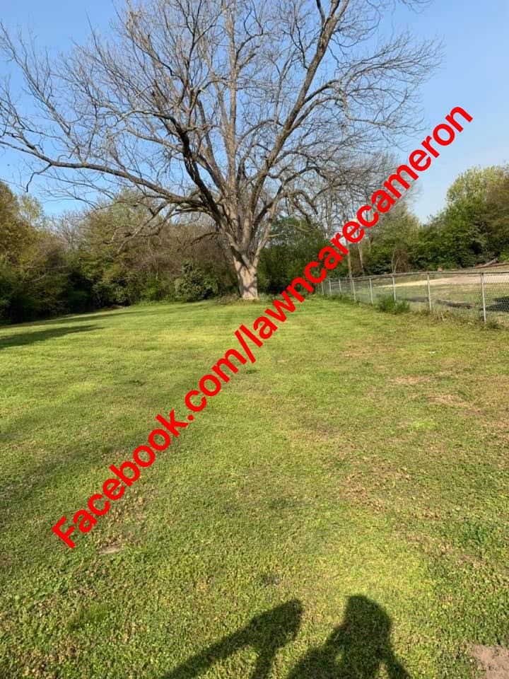 Lawn Maintenance And Landscaping for Cameron's General Services in Mansfield, GA
