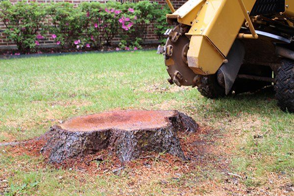 Stump Removal for General State Property Maintenance in New Haven, IN