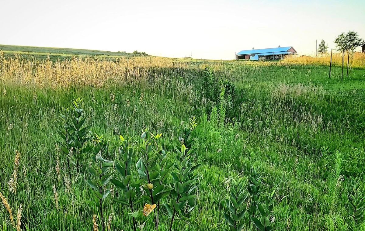 Large-Scale Mowing & Vegetation Management for Bluffside Forestry in Cedar Rapids, IA