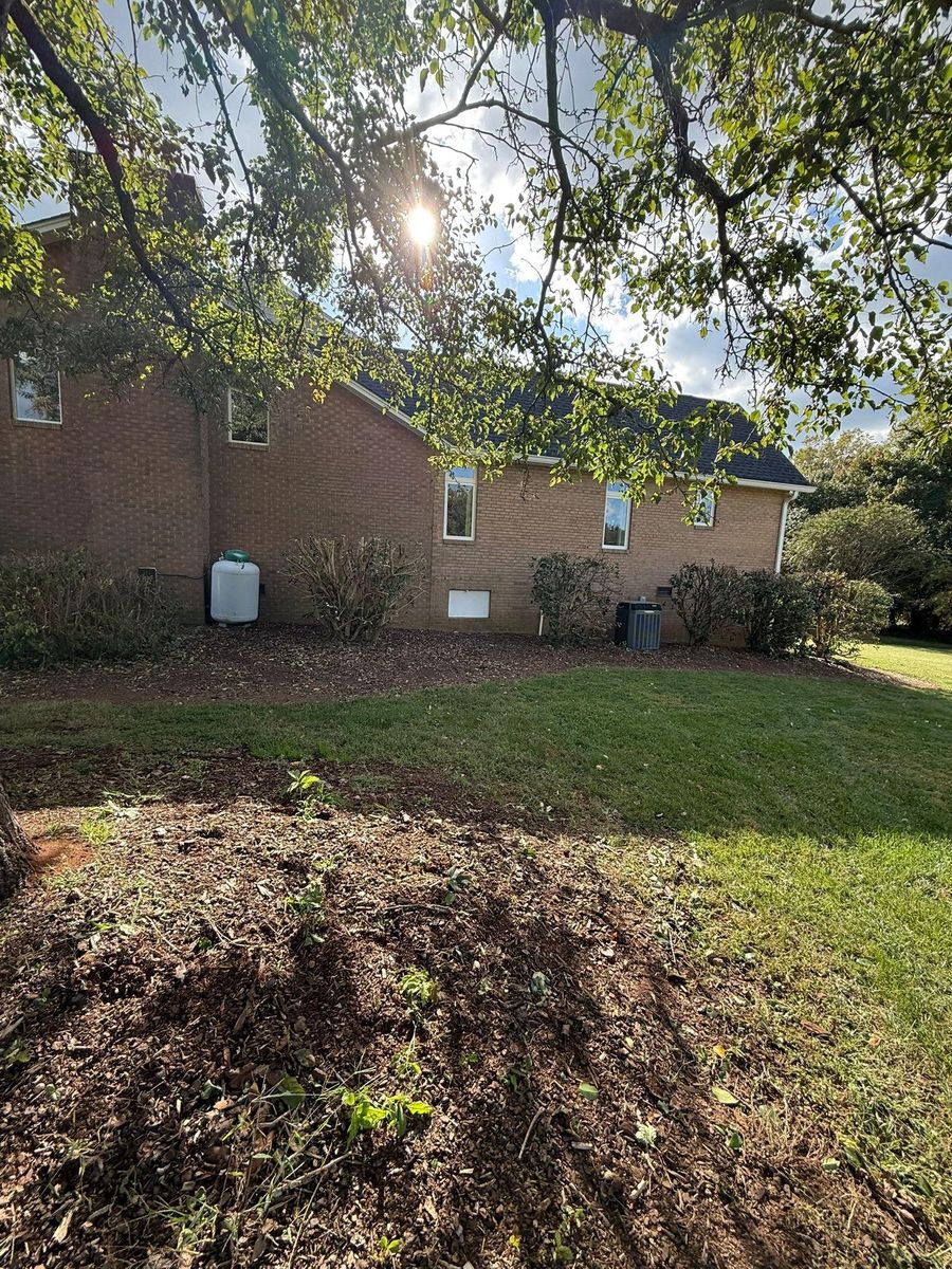 Fall Clean Up for Brooks Tree Service, LLC in Casar, NC