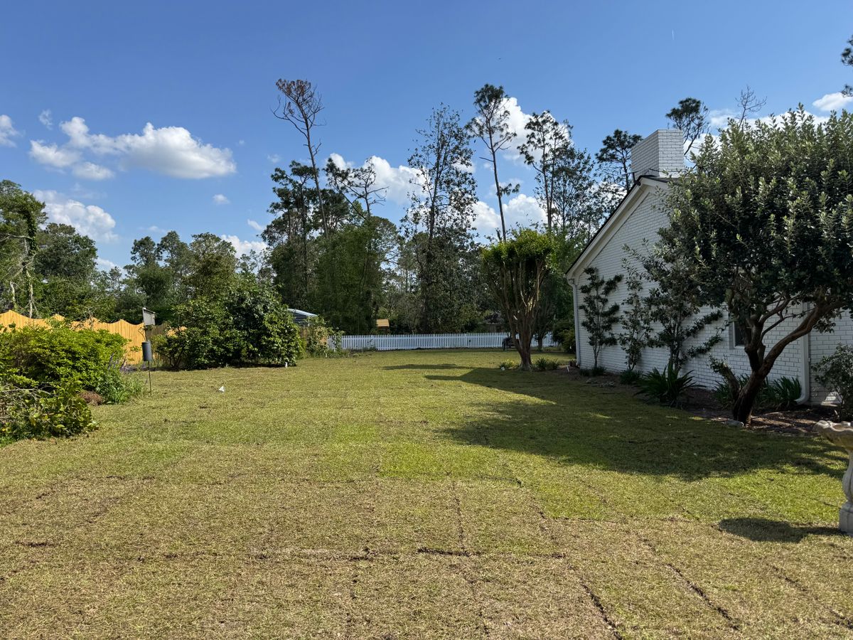 Land Clearing for South GA Land Development in Hazlehurst, GA