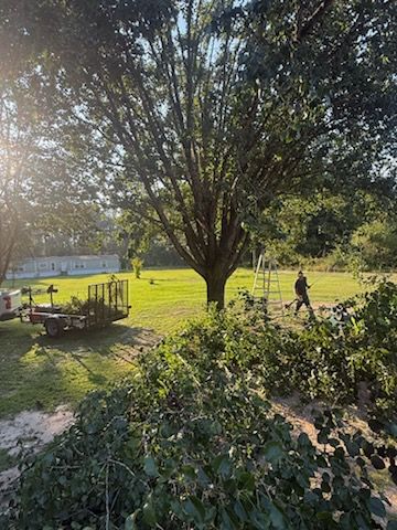 Tree Removal for Hawkins Tree Service & Land Management in Richmond Hill, GA