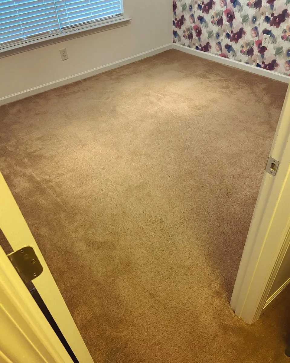 Carpet Cleaning for Clean 1 ATL in Atlanta, GA