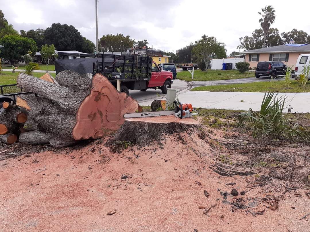 Stump Grinding for Advanced Landscaping Solutions LLC in Fort Myers, FL