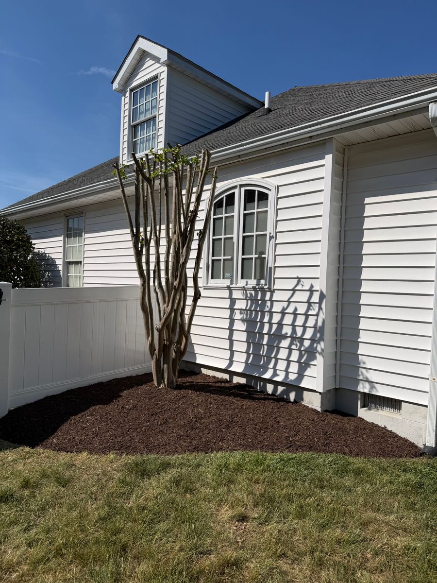 Trimming for Lawn pro services in Georgetown, DE